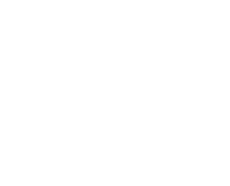 Castel